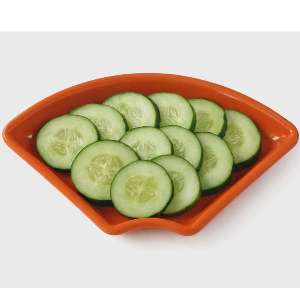 Fiestaware Fiesta OMNI SERVING TRAY Bowl Dish Ceramic Container Poppy Orange